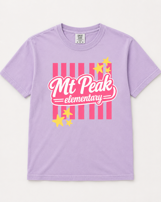 Mt. Peak Stripe Spirit Tee